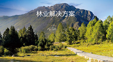巴南林業解決方案